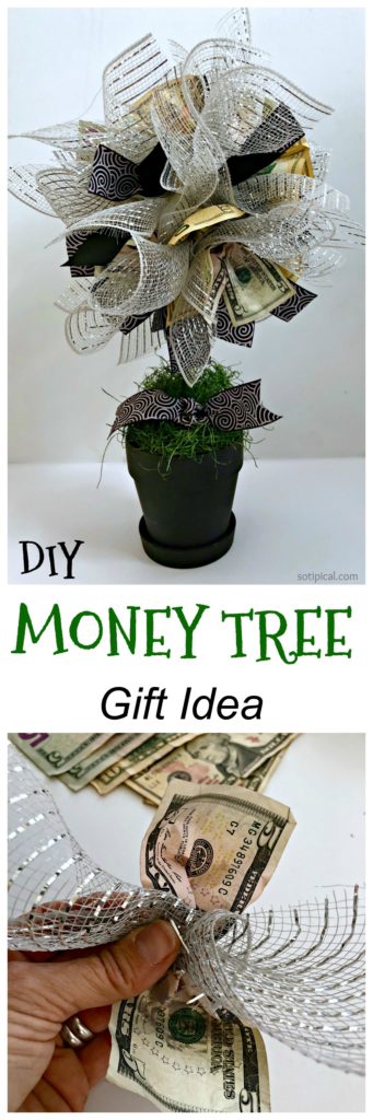 diy money tree gift