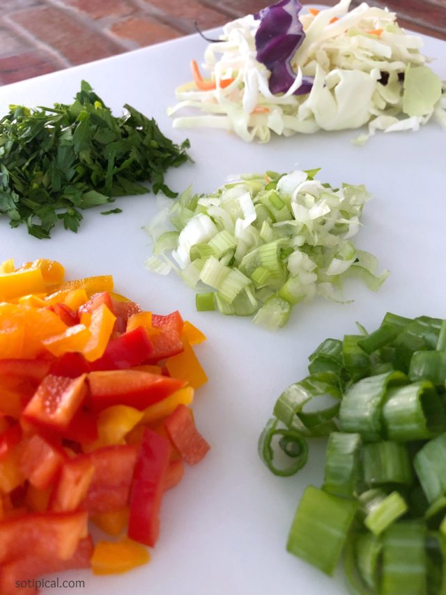 Gluten Free Stirfry Noodle Bites - So TIPical Me